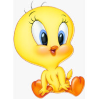 Baby looney tunes Piu piu (1 a 10un)