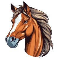 Aplique boiadeiro cavalo
