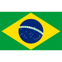 Aplique Copa do mundo Bandeira Brasil.(1 a 10 un)