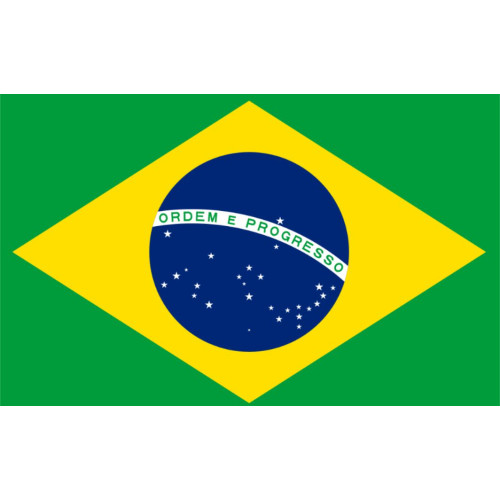 Aplique Copa do mundo Bandeira Brasil.(1 a 10 un)