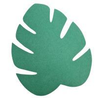 Costela de adão .(de 1 a 10 und)