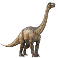 Aplique Dinossauro feroz braquiossauro