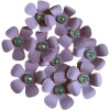 Lilas claro (Sao Francisco)