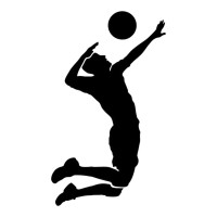 Aplique volei jogador