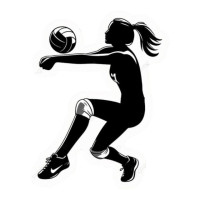 Aplique volei jogadora