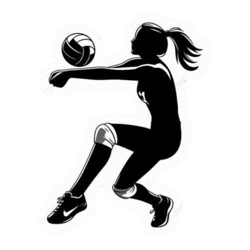 Aplique volei jogadora