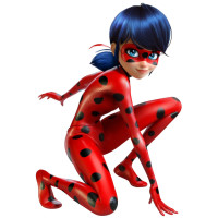 Aplique Lady bug