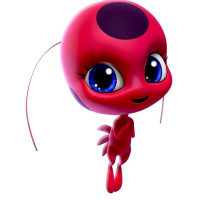 Aplique Lady bug (Tikki)