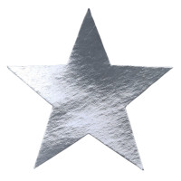 Estrela prata.(1 a 10 und)