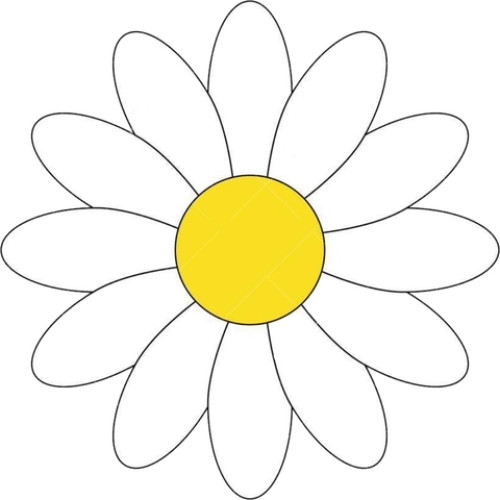 Margaridas (de 1 a 10 und)