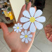 Margaridas 