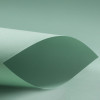 Verde bebe