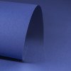 Azul bic (Toronto)