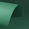 Verde bandeira (Brasil)